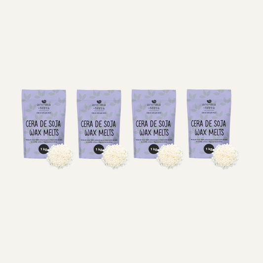 CERA DE SOJA WAX MELTS (PACK DE 4)